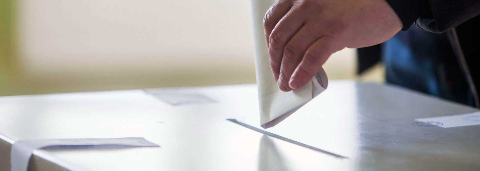 Ballot Box Voting image