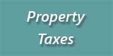 Property Taxes
