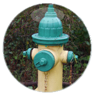 yellow and green Fire Hydrant